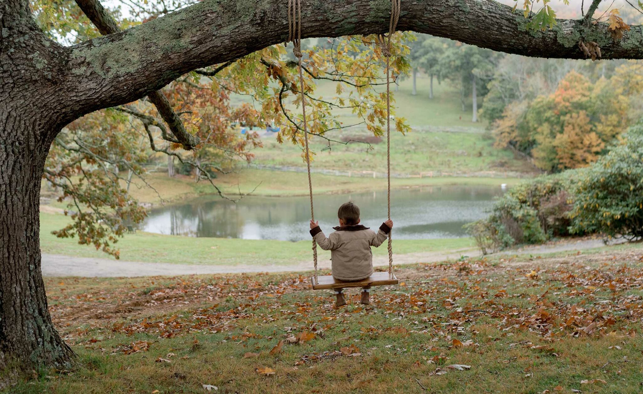 Cataloochee Ranch child on a swing