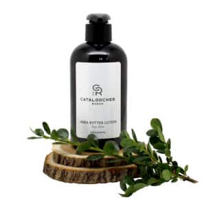 Hazelwood Soap Company Shea Butter Body Lotion